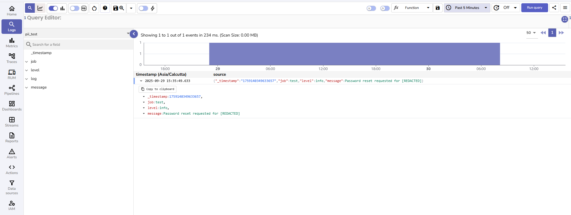 redact-at-query-time-result